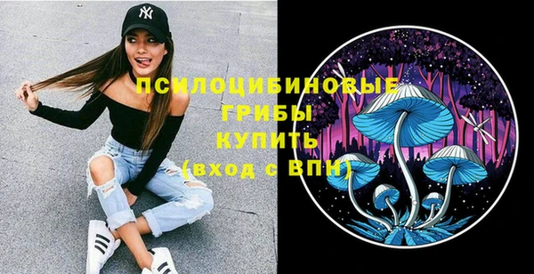 прущие грибы Вязники
