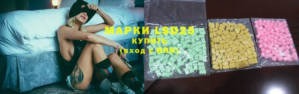 прущие грибы Вязники