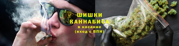 прущие грибы Вязники