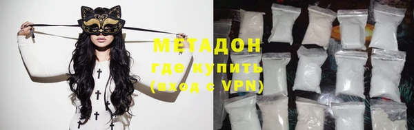 прущие грибы Вязники