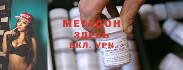 прущие грибы Вязники