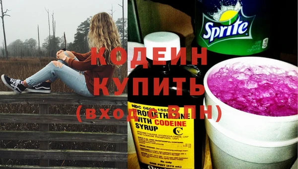 прущие грибы Вязники