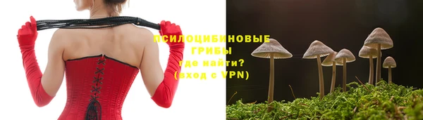 синтетический гашиш Вяземский