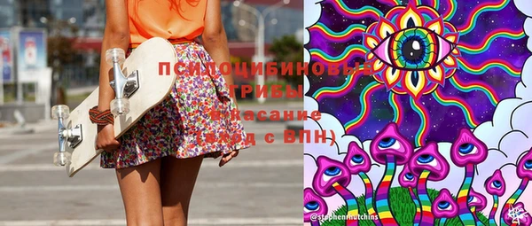 прущие грибы Вязники