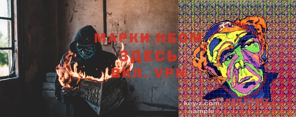 прущие грибы Вязники