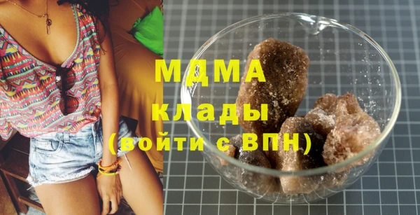 прущие грибы Вязники
