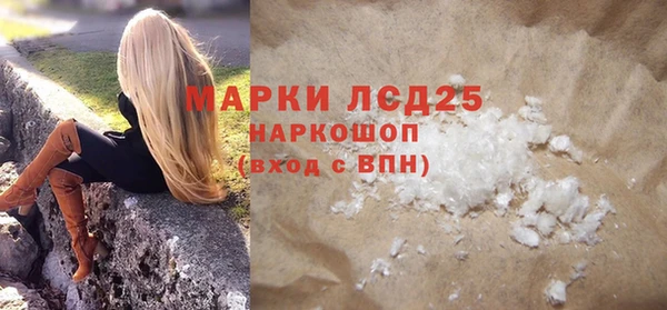 прущие грибы Вязники