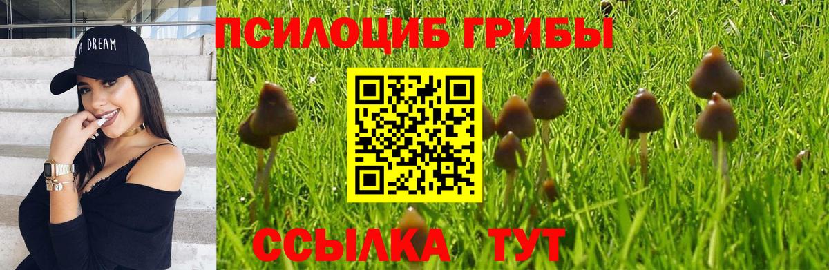 Галлюциногенные грибы MAGIC MUSHROOMS  Вход с VPN  Смоленск 